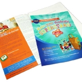 Teacher Brochure '09