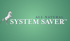 System Saver